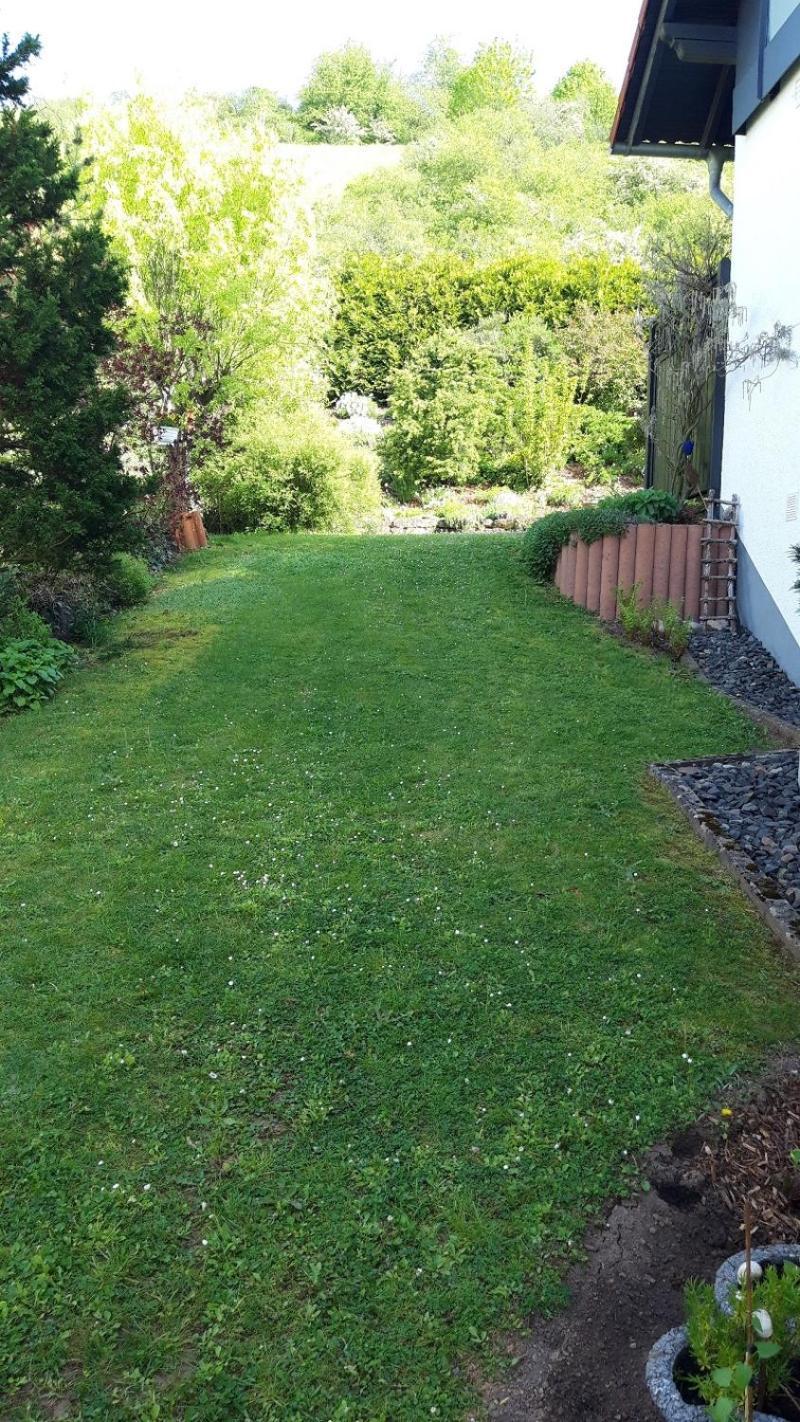 Fewo Hexamer Monzingen Exterior foto